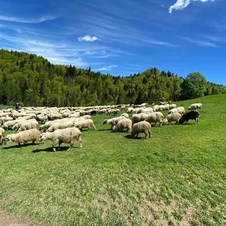 Апартаменты W Maniowach