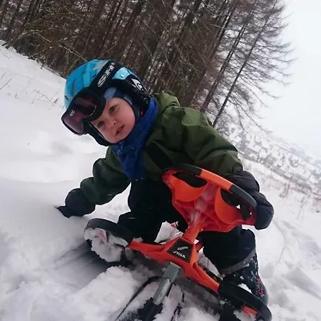 Апартаменты W Maniowach