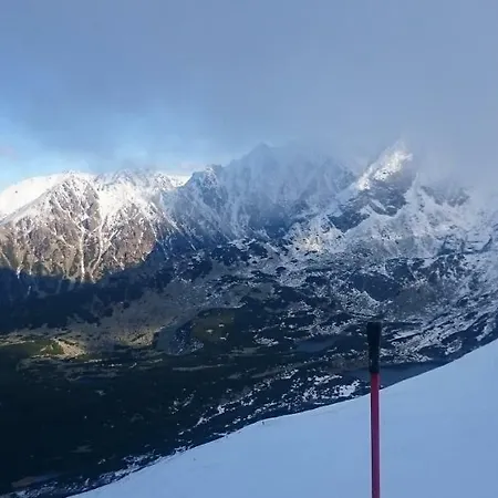 W Maniowach Апартаменты