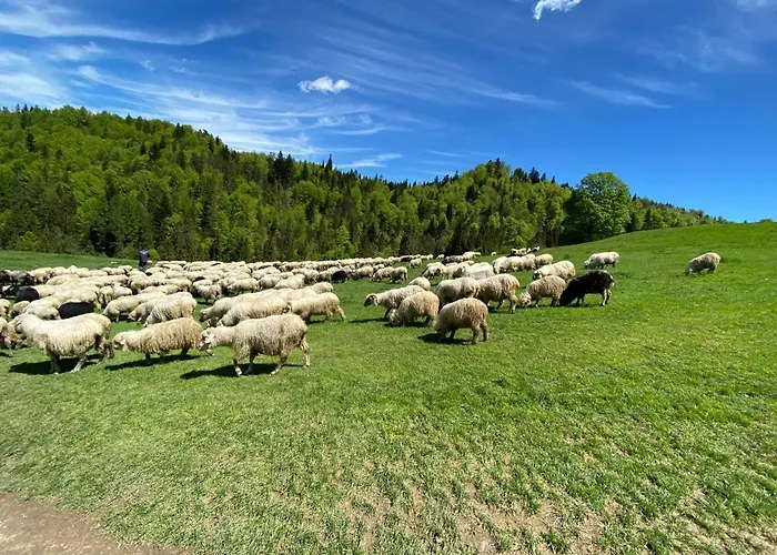 Appartamento W Maniowach